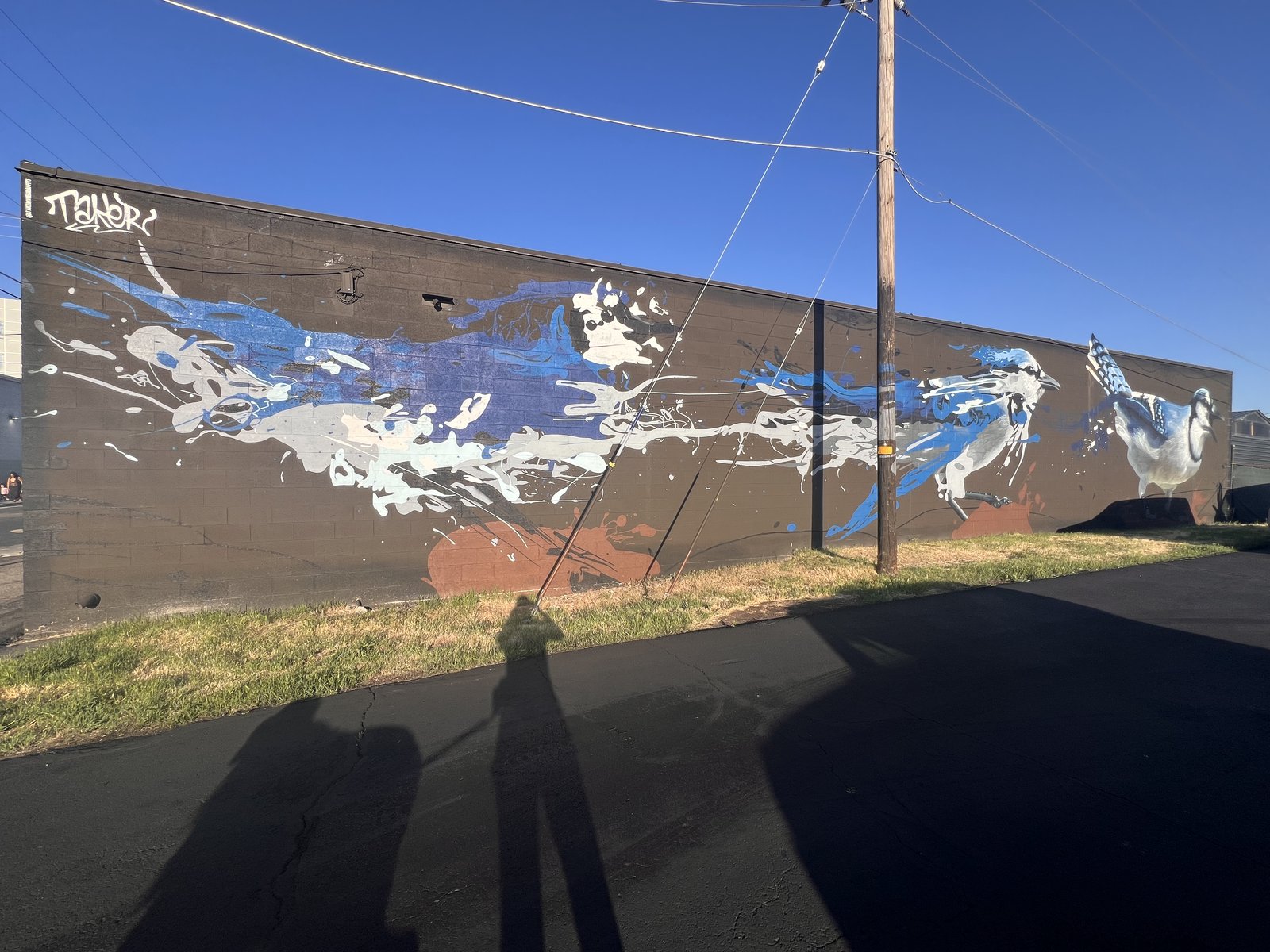 Mural of blue jays and abstract paint splashes on a warehouse wall in the Creative Industries Zone